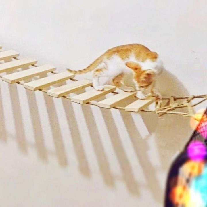 Sisal Cat Step Scratcher Post Holz Cat Scratcher Regal Sisal Rope Cat Ladder Schützt Möbel L-A