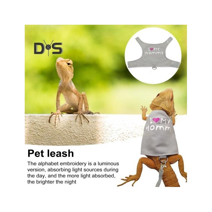 Leinen-Geschirr-Set für Eidechsen, Reptilien, verstellbar, Kleintier-Geschirr mit Zugseil für Bartagamen, Chamäleons, Spazier