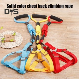 Hundegeschirr mit Leine, Hundetrainingsweste, Führstrick mit weich gepolstertem Griff, Haustier-Traktionszubehör für kleine u