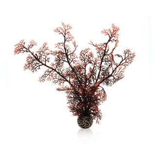 biOrb Hornkoralle dunkelrot M