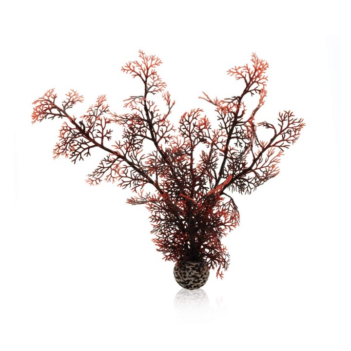 biOrb Hornkoralle dunkelrot M