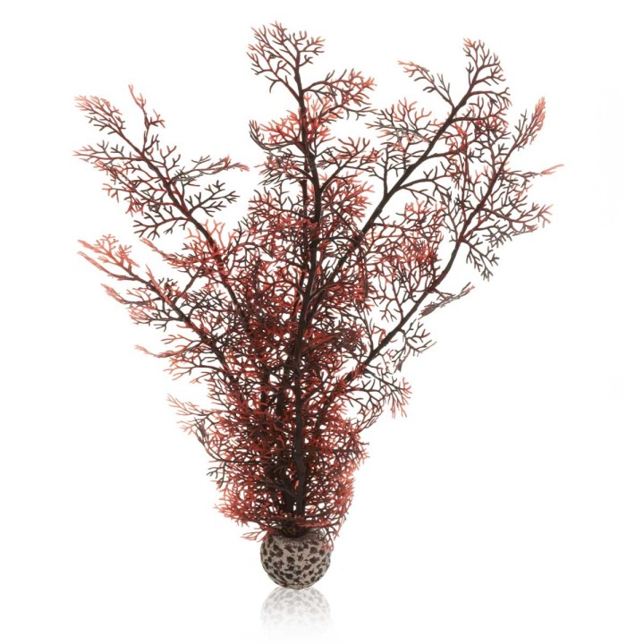 biOrb Hornkoralle dunkelrot L