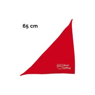 Schecker - Besticktes Halstuch, Unser Liebling mit Herz + Name [65cm - Rot]