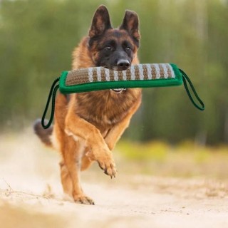 Langlebiges, stabiles und sicheres Haustier-Bissspielzeug für Hunde, das Beißen und Zerren für große Hunde trainiert