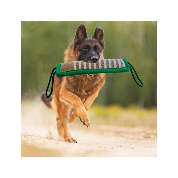 Langlebiges, stabiles und sicheres Haustier-Bissspielzeug für Hunde, das Beißen und Zerren für große Hunde trainiert