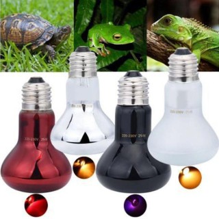 Einstellbare Led Pet Heizung Lampe UVA Reptil Wärme Birne Glas Birne UVA Tag Nacht Birne Schlange 75W weiß