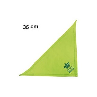 Schecker - Besticktes Halstuch Prinz + Name [35cm - Kiwi]