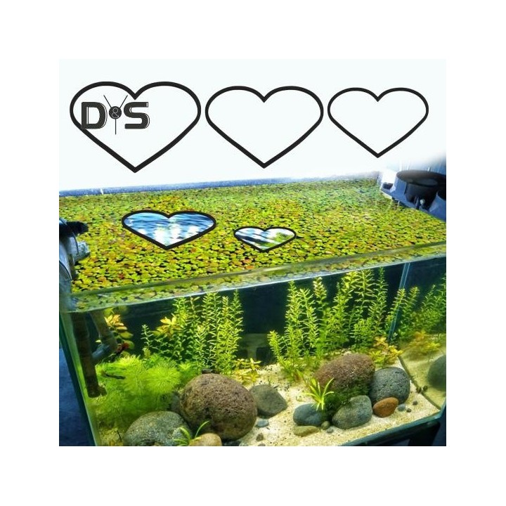 5 Stück schwimmende Pflanzenringe für Aquarien, herzförmige Futterringe für Fische, Futterring für Kampffische, Pflanzenzaun,