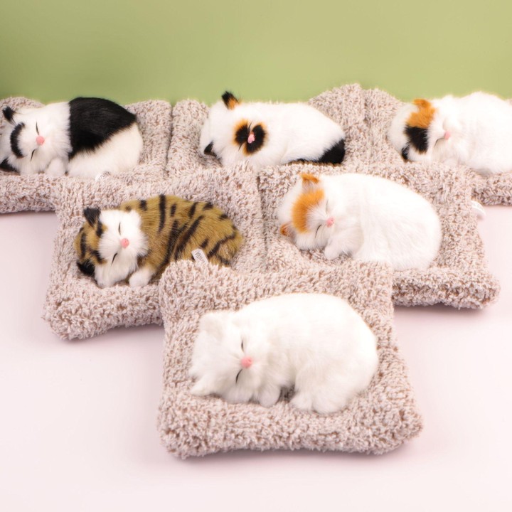 Tierimitat-Decken und -Matten für schlafende Katzen mit Kätzchen-Ornament-Design Charcoal Pad with Sound 14*17