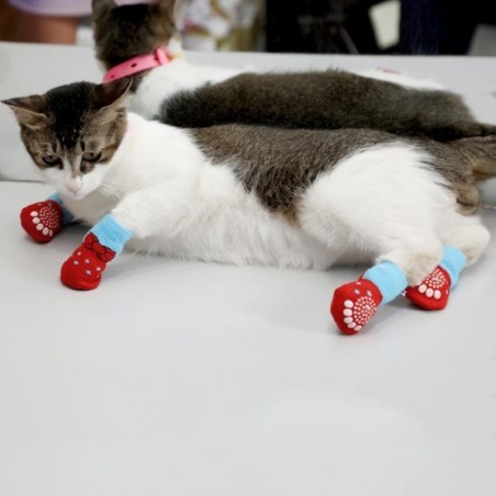 Haustierbedarf, süße und warme Katzen, Hunde, Haustiersocken, Katzensocken, Hundesocken M rot