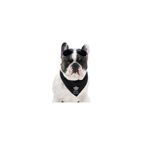 Schecker - Besticktes Halstuch Prinz + Name [50cm - Petrol]