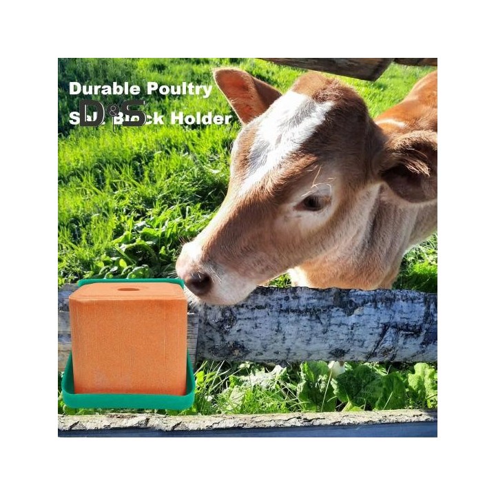 Lecksteinkasten für Rinder und Schafe, Salzsteine, Mineralblock-Futterspender, Viehfütterungsgestell, rutschfester Kunststoff