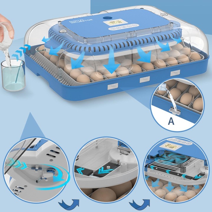 70 Eier Inkubator 3-IN-1 Inkubation Schlüpfen und Brüten LCD Digitalanzeige der Temperatur EU AC Power