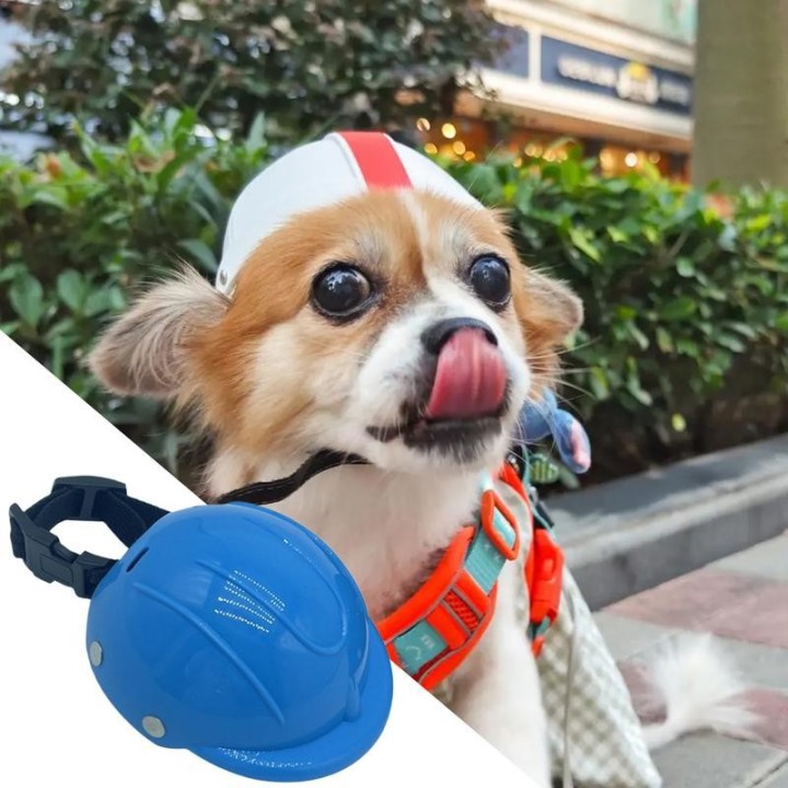 Hunde-Motorrad-Sicherheitshut, Haustier-Hundehut, verstellbarer Gürtel, harte Sicherheitskappen für Welpen, Kopfschutzhut, Sc