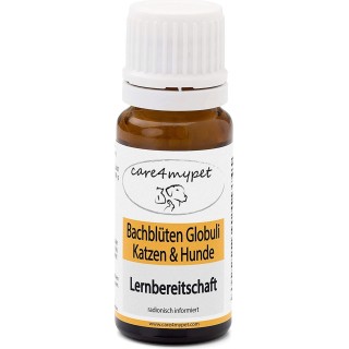 care4mypet Bachblüte Lernbereitschaft - Katzen & Hunde - 10 g