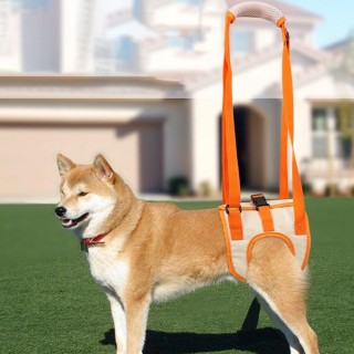 Übungsgürtel für ältere Hunde, Rehabilitationsgürtel für behinderte Hunde, um Hunden beim Treppensteigen zu helfen S orange