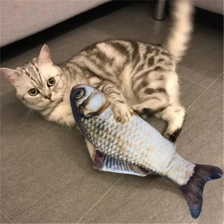 Katzenspielzeug Simulation Fisch Katzenspielzeug Training Unterhaltung Fisch Spielzeug Plüsch Stofftier Fisch Haustier Kauspi