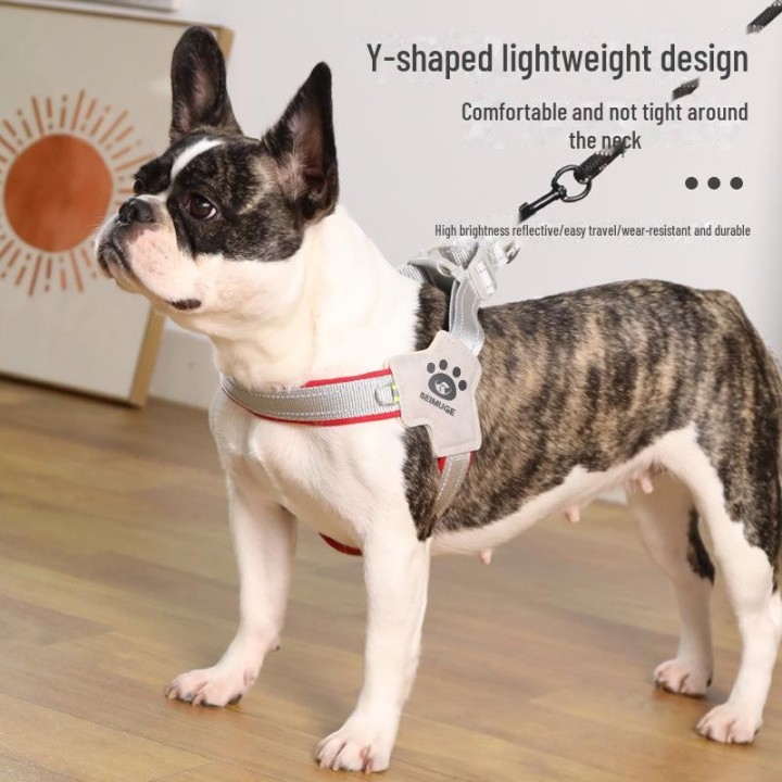 Universelles Hundegeschirr im Sattelstil: Abreißsichere, atmungsaktive Traktion für kleine und mittelgroße Hunde L rot