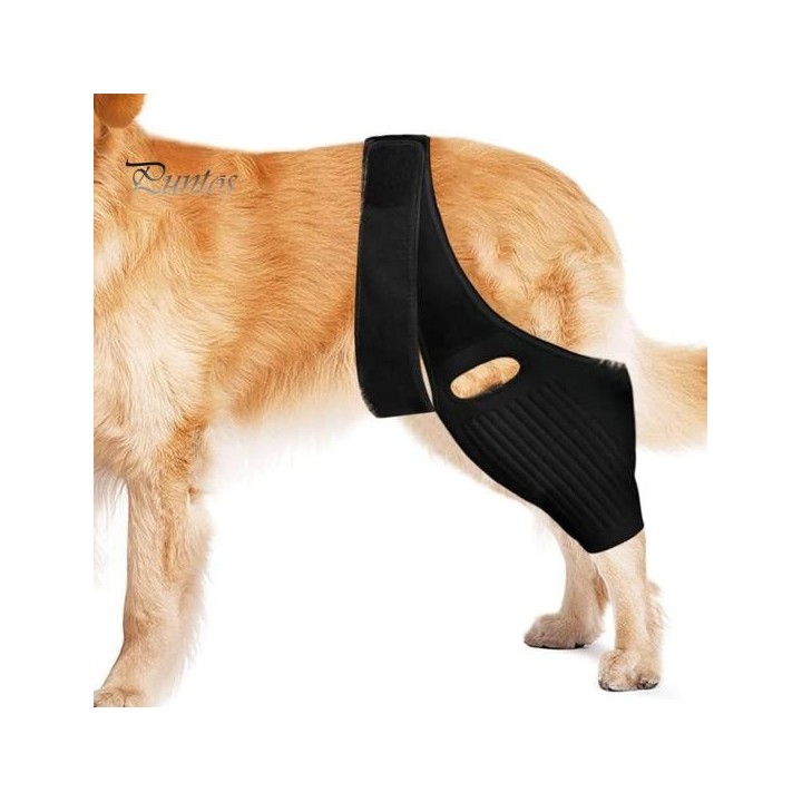 Haustier-Erholungsgürtel, Hundebeinstütze, schützende Knie- und Hüftstütze für Hunde, einfach zu installieren, unterstützende