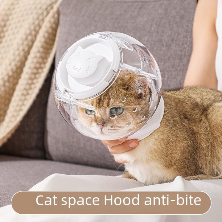 Atmungsaktives Anti-Biss-Halsband für Haustiere für Katzen und Hunde 12, 14 Kittens