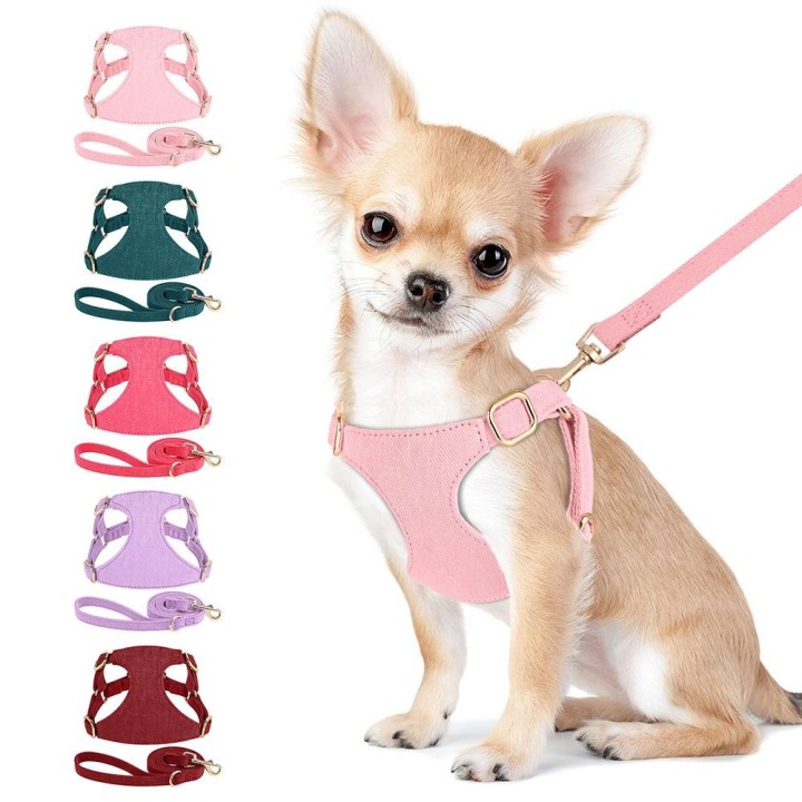 Niedliches Hundegeschirr-Leine-Set für kleine Hunde, Welpen, Katzengeschirr, Weste für Chihuahua, Yorkie XS grün