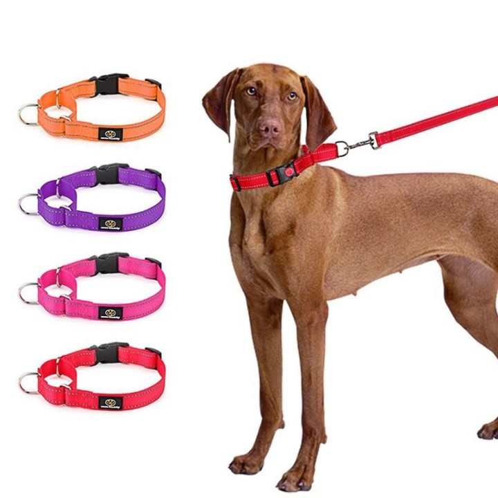 1 Sets Super langlebiges Hundehalsband Trainingsgerät für große und mittelgroße Welpen Husky Walking Neck Zubehör Solides Nyl