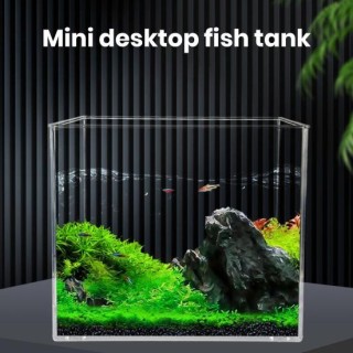 Aquarium Glatte Kanten Kleines Aquarium Hohe Transparenz Desktop Aquatische Landschaft Tankdekoration S