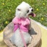 Pearl Angel Wing Hundegeschirr, Mesh, atmungsaktives Geschirr- und Leinen-Set für kleine Hunde, Katzen, Welpen, Brusthalsband