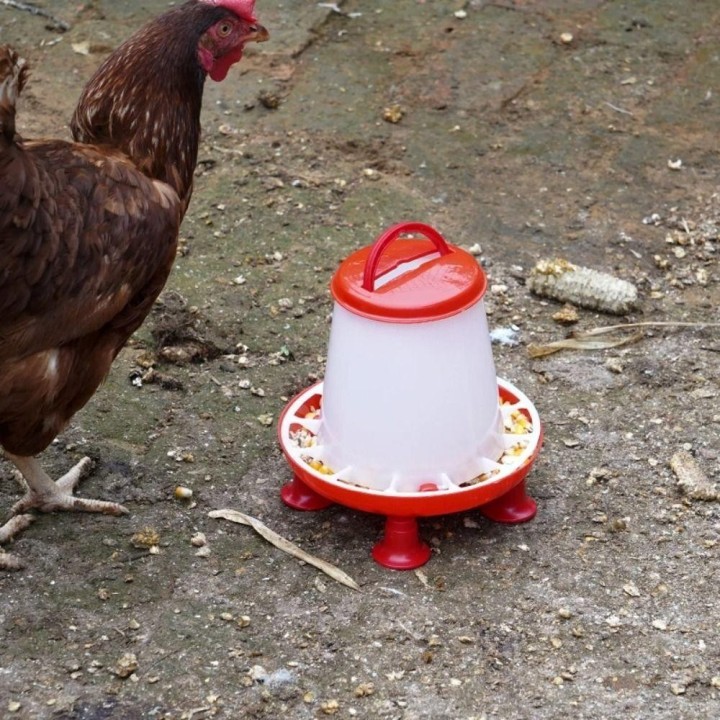 Standbeine Geflügel Feeder Cover Fütterung Eimer Bewässerung liefert Huhn Feeder Wachtel S