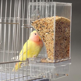 Transparenter Vogelfutterspender aus Acryl, automatischer, sauberer Futterspender für Vogelkäfige, große Kapazität, Futterspe
