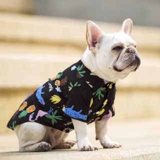 „Stilvolles und bequemes Sommer-Hundeshirt – modische Haustierbekleidung“ XS