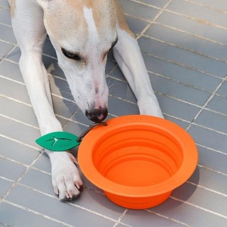 with Carabiner Dog Collapsible Dishes 350ML Puppy Food Container Pet Folding Bowl  Outdoor Style 1