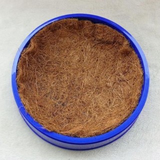 Vogelnest, robuste Konstruktion, umweltfreundlicher Kunststoff, Vogelbrutnest, Papageiennistkasten für Zuhause blau