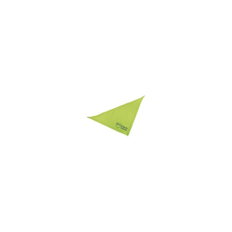 Schecker - Besticktes Halstuch Papa´s Schatz + Name im Herz [65cm - Kiwi]