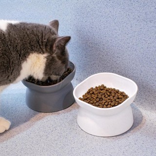 Erhöhter Doppelnapf mit großem Fassungsvermögen für Katzen und Hunde Cat Bowl