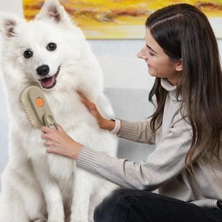 Steamy Cat Hundebürste 3in1 Elektrische Anti-Spritz-Katzenbürste mit Dampfspray USB-Lademassage Haustierpflegekamm Haarentfer