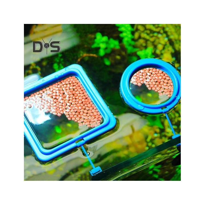 Futterring für Fische, fester Futterbereich, Futtertablett, Aufhängung, Kunststoff, Aquarium, schwimmender Fischfutterring mi