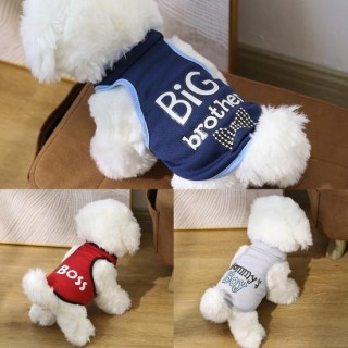 Haustierweste, Rundhalsausschnitt, atmungsaktiv, Buchstabe, weich, bequem, Katze, Hund, Aufdruck, Haustier, ärmelloser Pullov