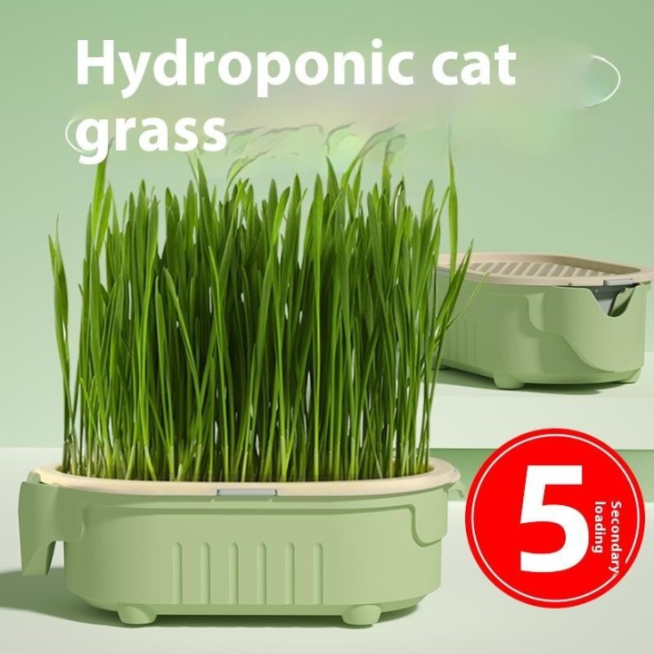 Natürliches Katzengras-Anbauset, Bio-Weizengrassamen, Verdauungsfördernde Haarballen, Blumenerde-Set