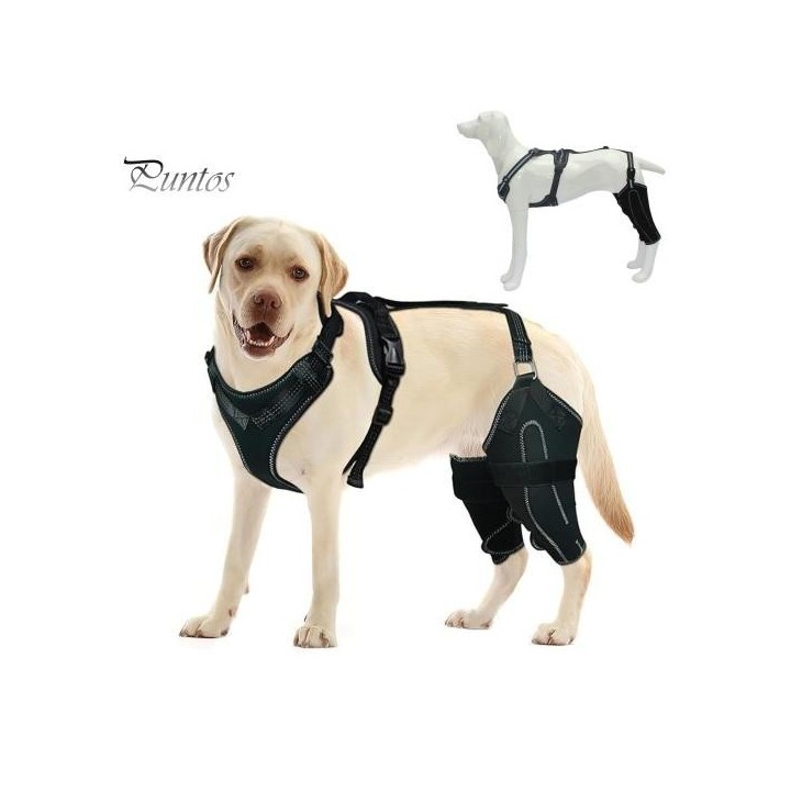 Knieorthese für das Hinterbein von Hunden, Knieorthese für die Hüfte von Hunden, ACL-Unterstützung bei Hüftdysplasie, Arthrit