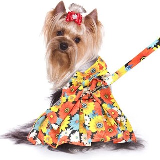 Haustier-Blumenkleid mit Leine, Sonnenblumenmuster, große Schleife, magische Aufkleber, Welpenkleidung, Sommer-Haustier-Outfi