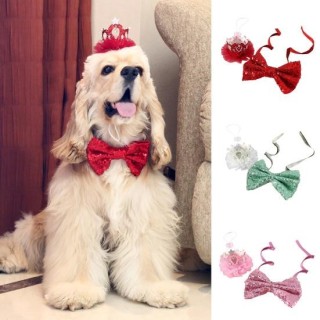 Haustierzubehör, Pailletten-Schleifenhalsband, Strass-Kronen-Set, Haustier-Kostüm für tägliche Fotos, Ausflüge im Freien rosa