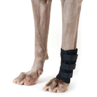 Back on Track Hundegelenkschoner