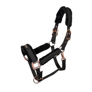 Back on Track Haze Collection Halfter