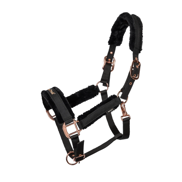 Back on Track Haze Collection Halfter