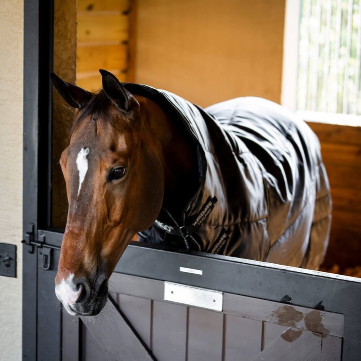 Horseware Amigo Ripstop Insulator Stable Hood 200g