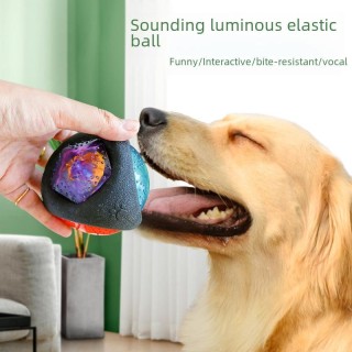 Bissfestes leuchtendes Hundespielzeug: Sound-Interaktiver schwarzer Ball für Teddy & Bichon