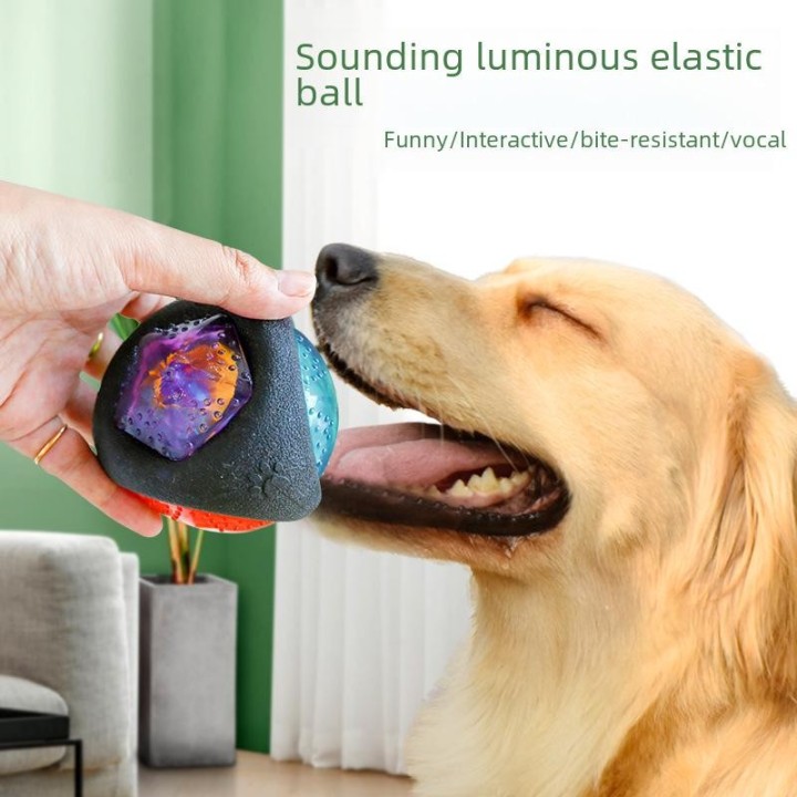 Bissfestes leuchtendes Hundespielzeug: Sound-Interaktiver schwarzer Ball für Teddy & Bichon