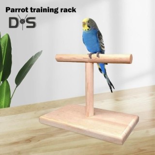 Vogelsitzstange, Nymphensittich-Trainingsübungs-Spielständer, Tischplatte, hölzerne Papageienstange für Sittiche, Wellensitti