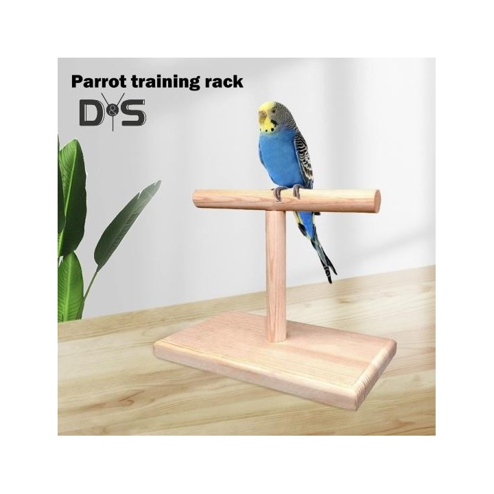 Vogelsitzstange, Nymphensittich-Trainingsübungs-Spielständer, Tischplatte, hölzerne Papageienstange für Sittiche, Wellensitti